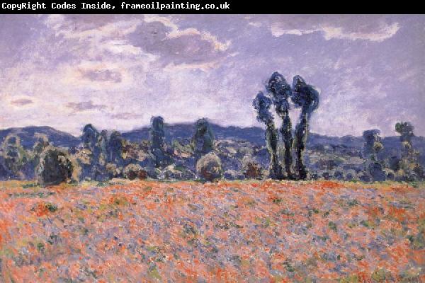 Claude Monet Poppy Field in Bloom